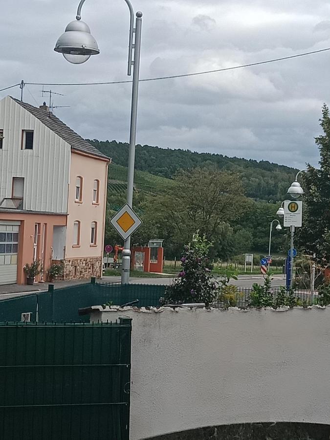 Ahr-weinbergblick *