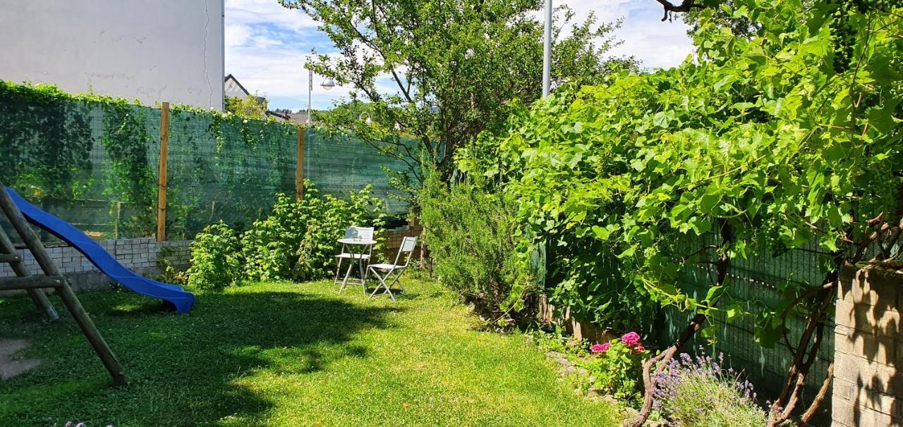 Apartment Ahr-weinbergblick *