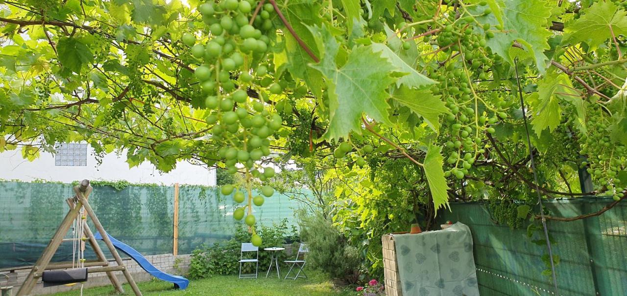 Ahr-weinbergblick Lejlighed *
