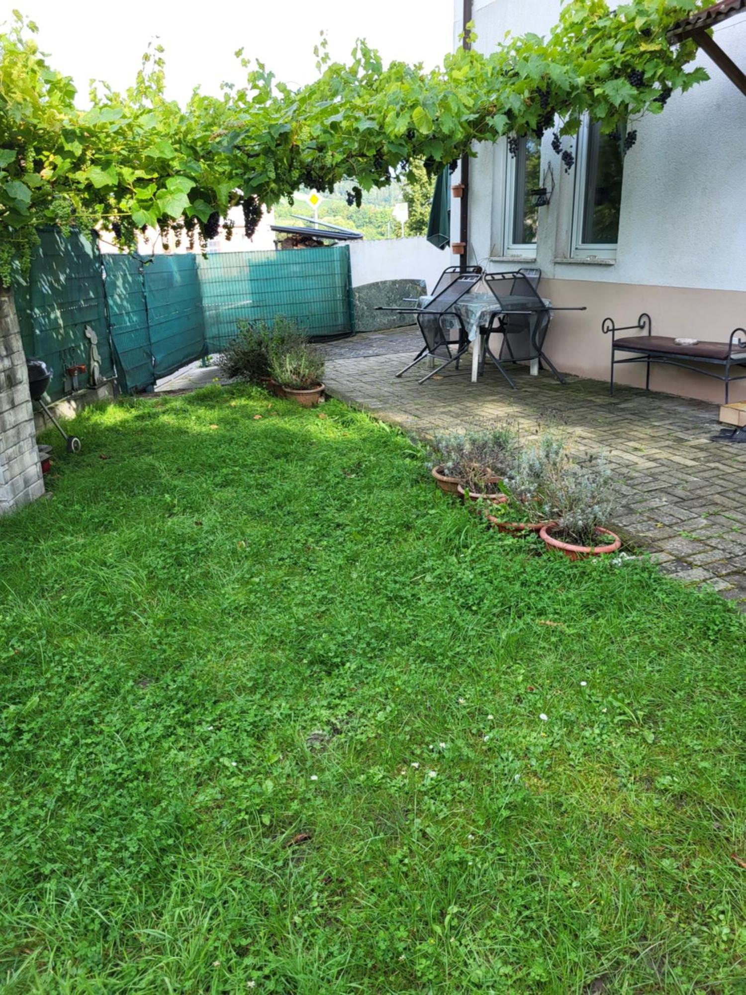 Apartment Ahr-weinbergblick