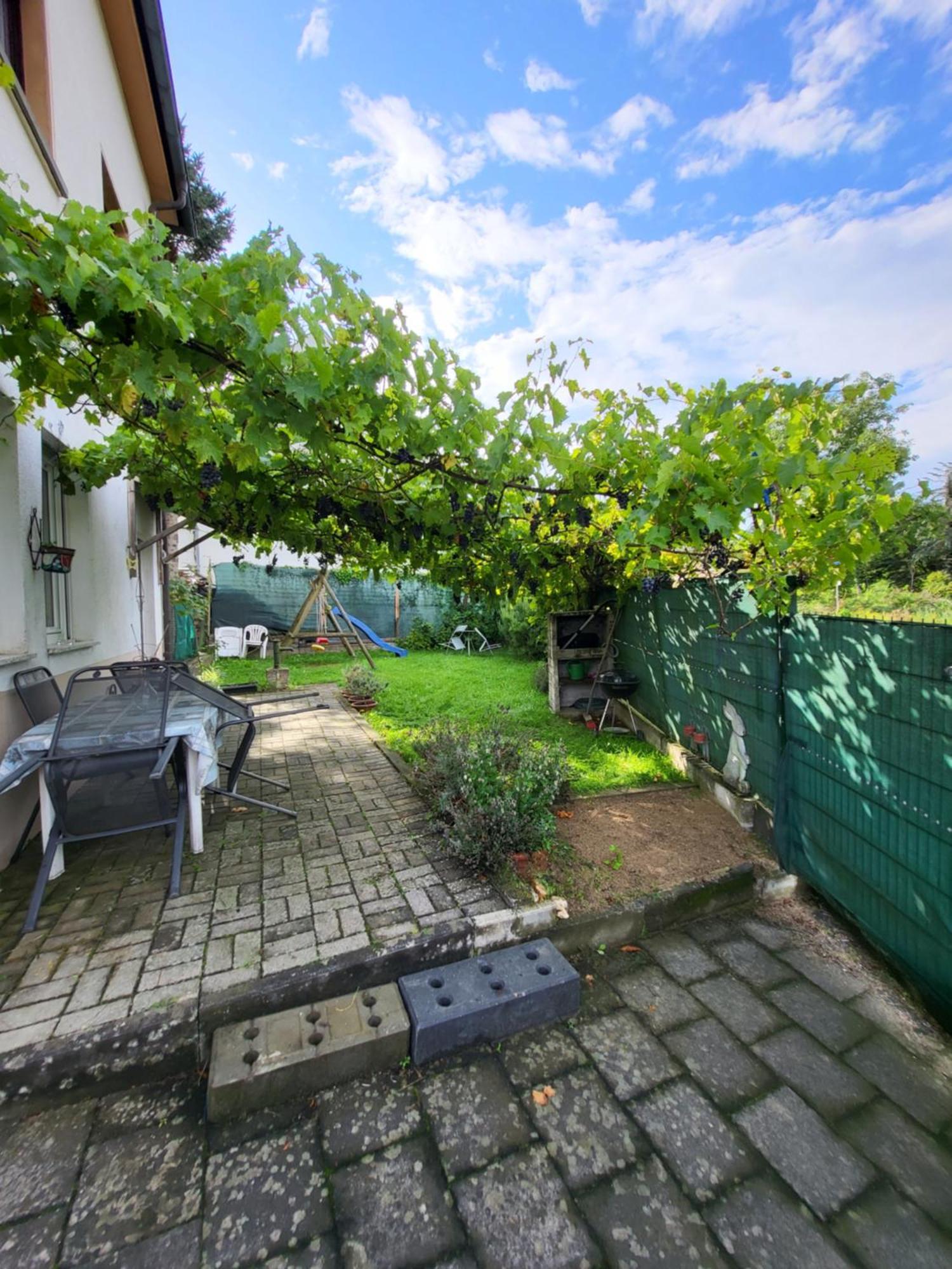 Ahr-weinbergblick